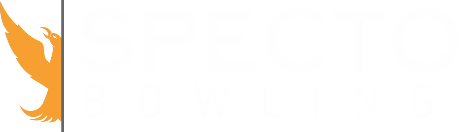 Logo Specto